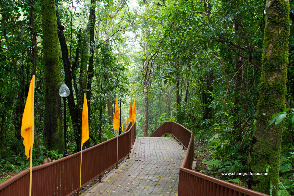 Chiang Rai Doi Tung  Jungle in the North of Thailand
